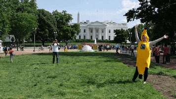 fair trade bananas GIF by Fairtrade America fair trade bananas GIF by Fairtrade America