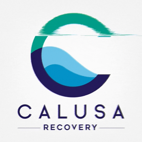 CalusaRecovery recovery calusa GIF