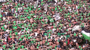 fans atmosphere GIF by AS Saint-Etienne