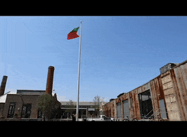 flag GIF by Knockdown Center