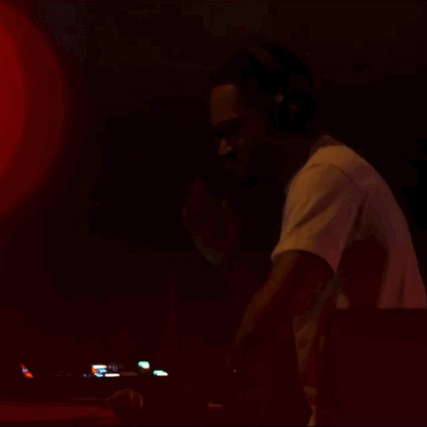 Groove GIF