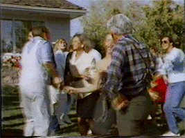 Party GIF