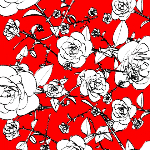giphy.gif?cid=3640f6095be0b8d16d30446559