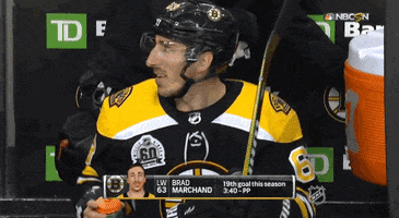 happy ice hockey GIF by NHL