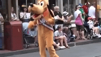 Disney World Florida GIF by 50statesproject