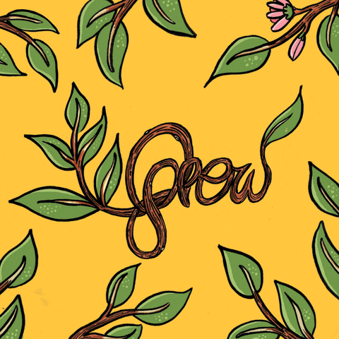 Flower Grow GIF by katcha-fun