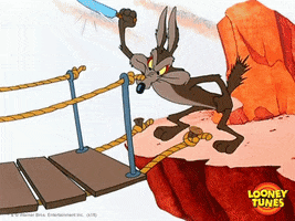 Wilee Coyote And Roadrunner GIFs - Get the best GIF on GIPHY