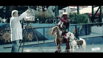 horse chile GIF by WOM