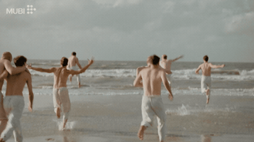 Film Cinema GIF by MUBI