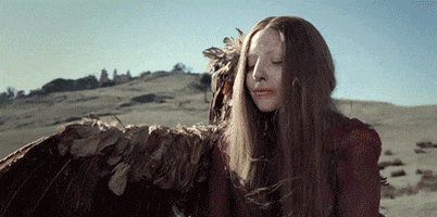 lady gaga celebs GIF