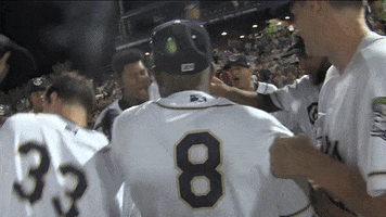 celebration cougars win GIF by Kane County Cougars