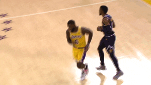 celebrate los angeles lakers GIF by NBA