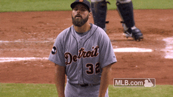 Major League Baseball Reaction GIF by Detroit Tigers