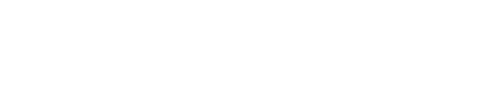 NZSki Sticker