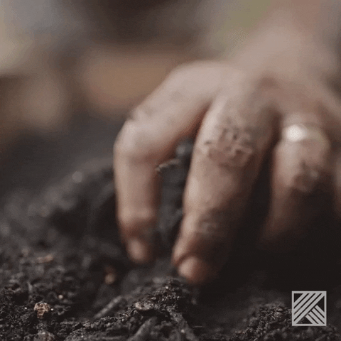 hand touching earth gif
