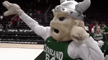 vikings pointing GIF by Cleveland State University