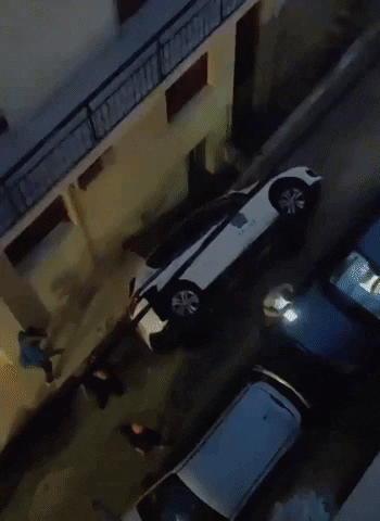 Pilotos GIF
