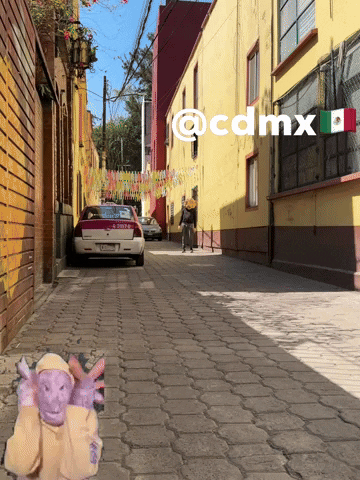 Cdmx GIF by Alex Boya