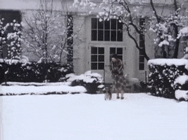 White House Snow GIF by US National Archives