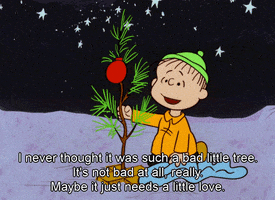 Peanuts gif. Linus steadies the pine tree branch while wrapping his blue blanket around its base and saying, "I never thought it was such a bad little tree. It's not bad at all, really. Maybe it just needs a little love," which appears as text.