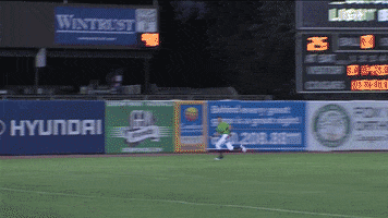 minor league baseball diving catch GIF by Kane County Cougars