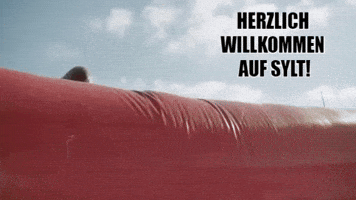 Sylt Catapult GIF