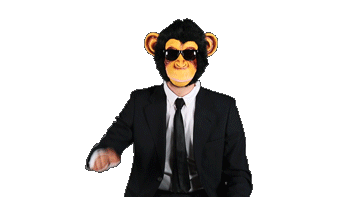 Gif Artist Content Sticker by The Monkey Hub