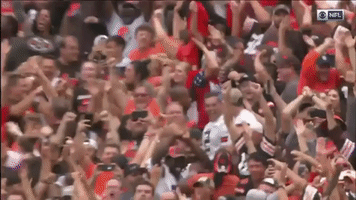 Sport GIF by Cleveland Browns