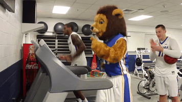 basketball college GIF by Hofstra University