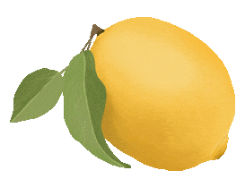 Citrus Fruit Lemon Sticker