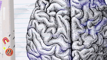 Brain Neurology GIF by The Explainer Studio
