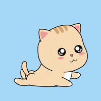 Dance Sad Cat Dance Sticker - Dance Sad Cat Dance Sad Cat Meme - Discover &  Share GIFs