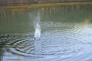 water lake GIF