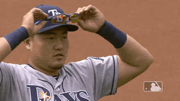 Tampa Bay Rays Deal With It GIF by MLB