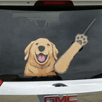 golden retriever GIF by WiperTags