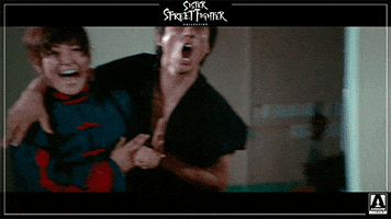 Martial Arts Movie GIF by Arrow Video