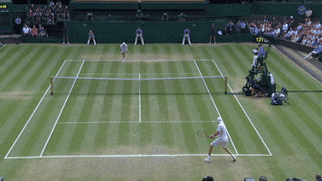 kevin anderson umpire GIF by Wimbledon