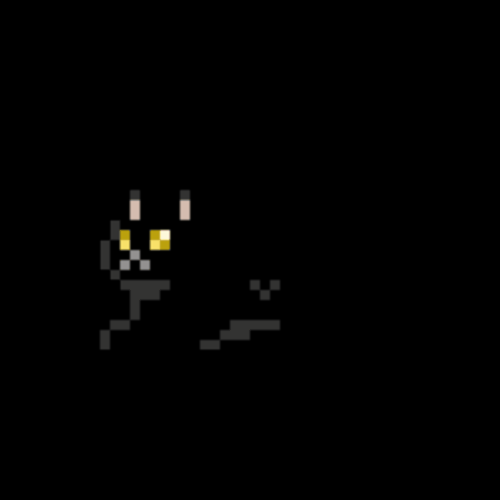 Black Cat GIF