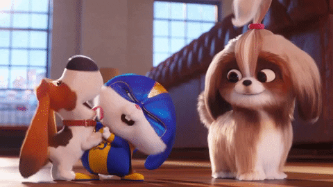 how long is secret life of pets movie how long is secret life of pets movie