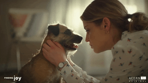 Puppy Love Dog Gif By Acorn Tv Find Share On Giphy