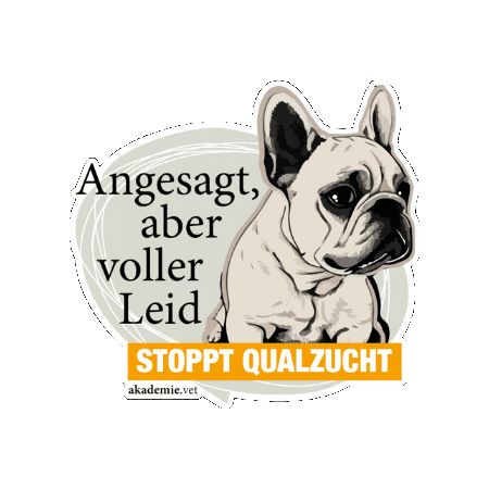 Sticker by akademievet