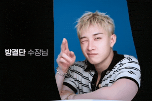 Stray Kids Skz GIF