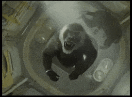 Zero Gravity Space GIF by izzyjames