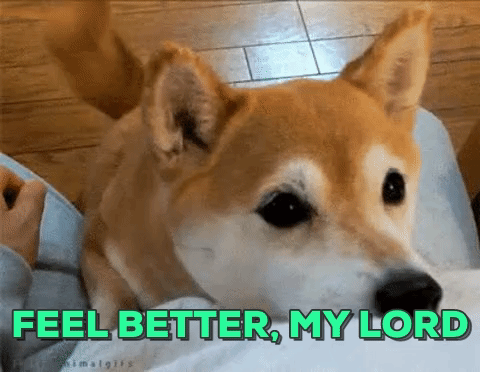 Feel Better Get Well Gif Find Share On Giphy