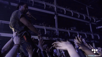 terminal 5 miguel GIF by TIDAL