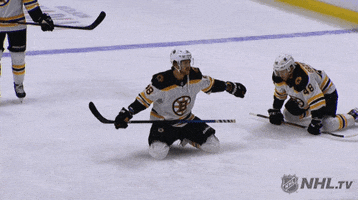 ice hockey fist bump GIF by NHL
