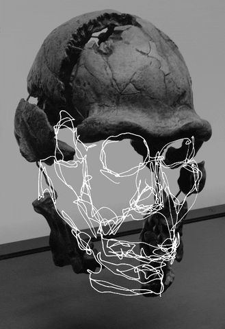 american museum of natural history skull GIF by TraceLoops