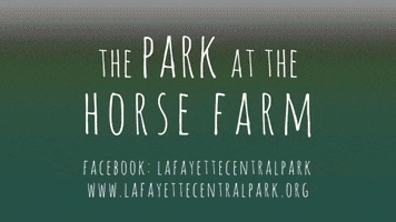 Moncus Park GIF