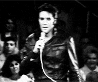 Best all shook up GIFs - Primo GIF - Latest Animated GIFs