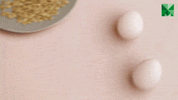 nom nom love GIF by MatPrat